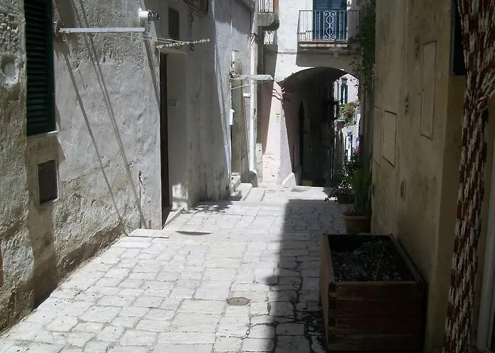 Mariana Ventura Matera